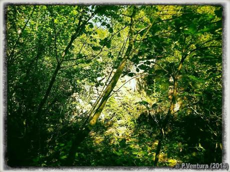 Tunel de la Engaña  ( 2ª Parte)