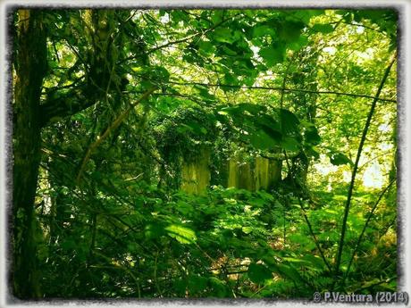 Tunel de la Engaña  ( 2ª Parte)