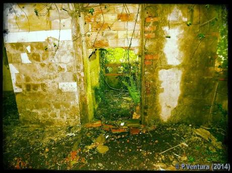 Tunel de la Engaña  ( 2ª Parte)