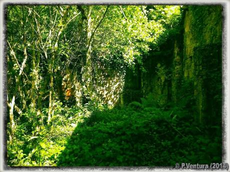 Tunel de la Engaña  ( 2ª Parte)