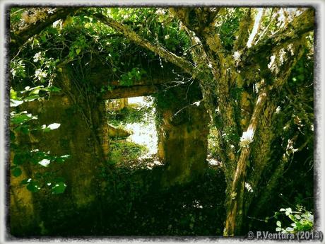 Tunel de la Engaña  ( 2ª Parte)