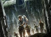 Película: corredor laberinto (Maze Runner