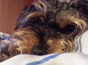 Androidografia Barakaldo CDLX. Mirada Kenya