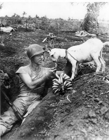 La otra cara de la II Guerra Mundial en fotos