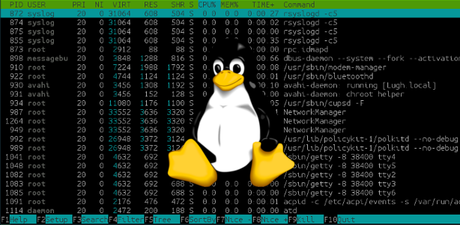 Comandos en GNU/Linux (I) : Información del sistema, sesiones y usuarios.