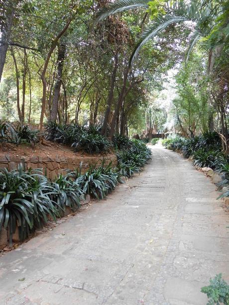 CASA MUSITÚ, LA BARCELONA D'ABANS, D' AVUI I DE SEMPRE...26-10-2014...!!!