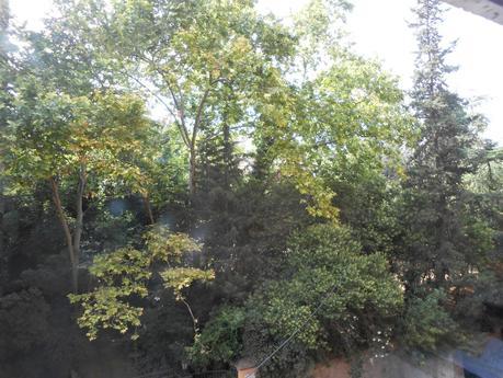 CASA MUSITÚ, LA BARCELONA D'ABANS, D' AVUI I DE SEMPRE...26-10-2014...!!!