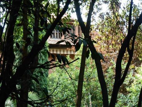 CASA MUSITÚ, LA BARCELONA D'ABANS, D' AVUI I DE SEMPRE...26-10-2014...!!!