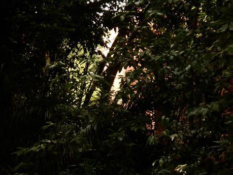 CASA MUSITÚ, LA BARCELONA D'ABANS, D' AVUI I DE SEMPRE...26-10-2014...!!!