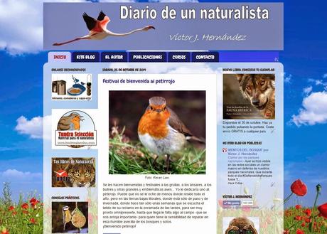 Medio millón de visitas al blog: ¡Muchas gracias!