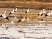 salida Sábado pasado amigo Ricardo Rodri...