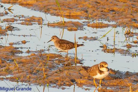 En la salida del Sábado pasado con mi amigo Ricardo Rodri...
