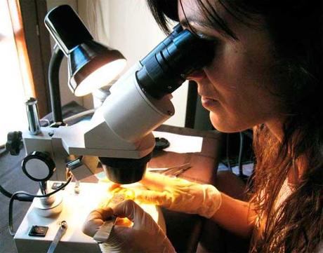 Restauración en Arqueología