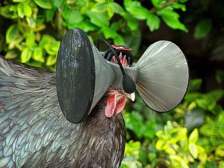 gafas de realidad virtual realidad virtual