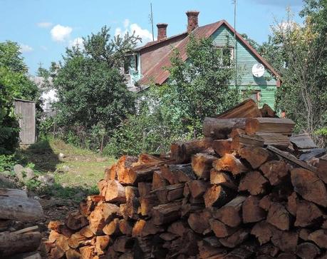 Haciendo acopio de leña durante los meses del estío.