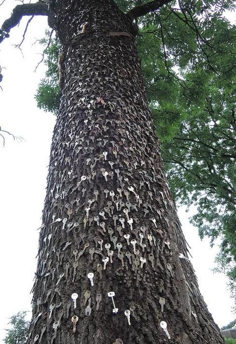 El árbol de las llaves. Panevezys.