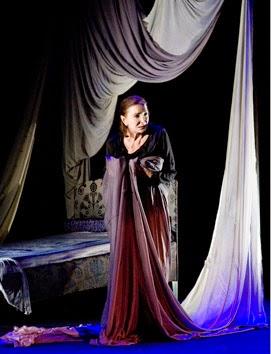 Ensayo De Una Violación