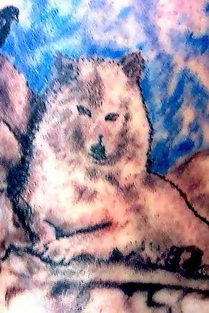 487. VANESSA NÚÑEZ (Sigyn Nez)