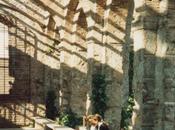 Proyecto Zona Verde Pública Espacio Parque Jardín (IV) Componente Emocional