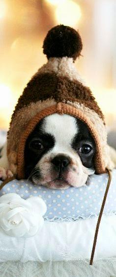 Warm&Cozy: calentin y prestosin