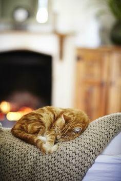 Warm&Cozy: calentin y prestosin