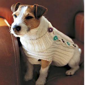 Warm&Cozy: calentin y prestosin