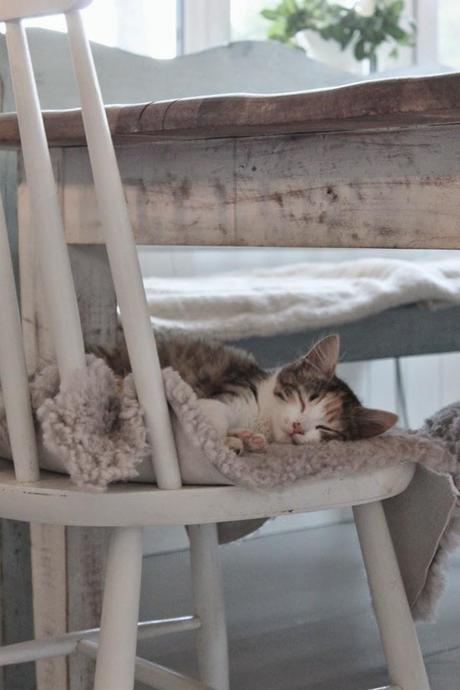 Warm&Cozy: calentin y prestosin