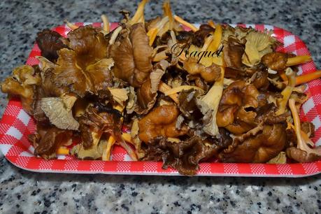 Patatas Guisadas con Pechuga y Camagrocs