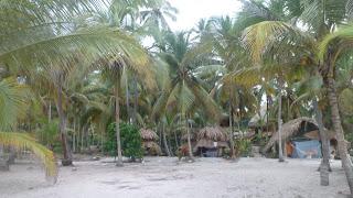 Guachaca (Colombia) - Unos días en un campamento ecológico