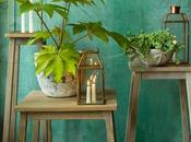 Detalles Deco Rustica