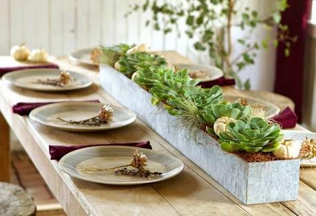 Detalles en la Deco Rustica