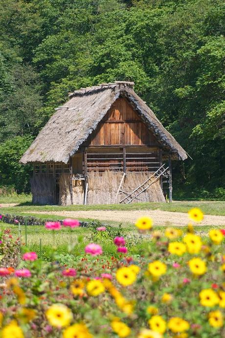 LA RUTA NIPONA: SHIRAKAWA-GO