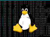 Comandos GNU/Linux (III) Memoria swap, particiones unidades ópticas