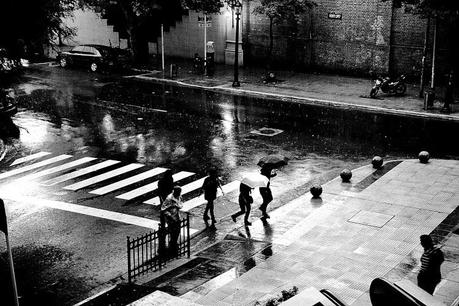 Gente con paraguas bajo la lluvia en Blanco y negro