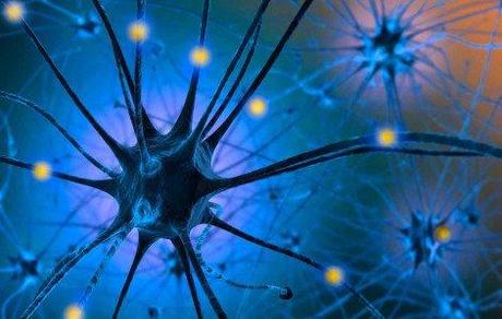 Serotonina depresión y  suicidios