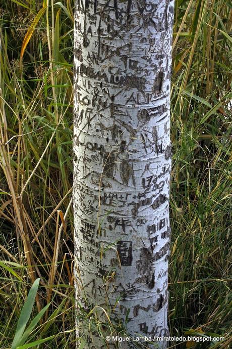 En el camino de la leyenda