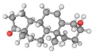 La Dhea , Hormona de la Juventud? dhea