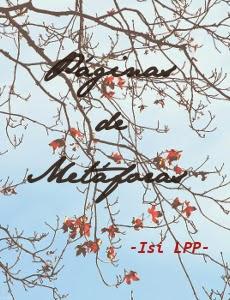 A por el NaNoWriMo 2014