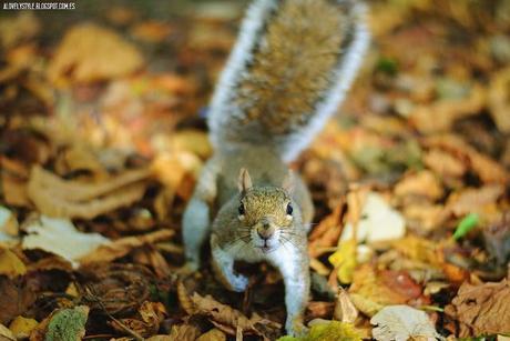 London: Southall Park lovelystyle (10)