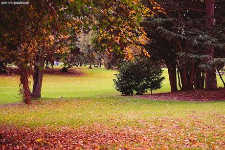 London: Southall Park lovelystyle (6)