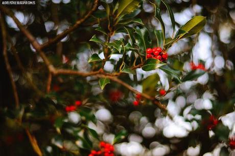 London: Southall Park lovelystyle (4)