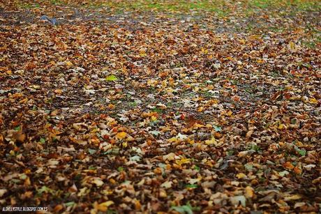 London: Southall Park lovelystyle (16)