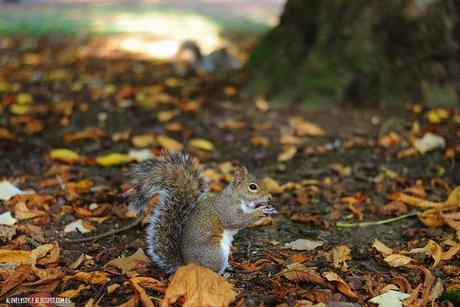 London: Southall Park lovelystyle (12)