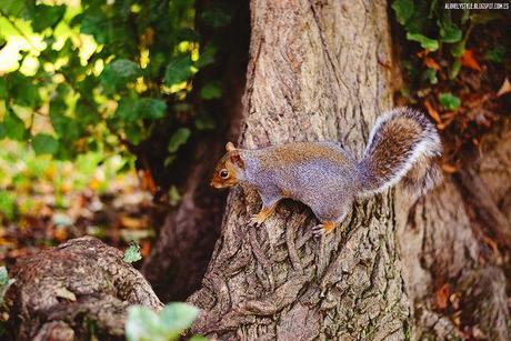 London: Southall Park lovelystyle (7)