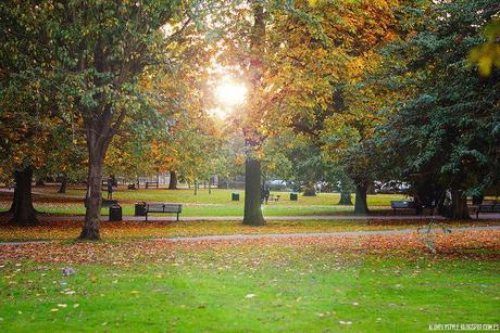 London: Southall Park lovelystyle (15)