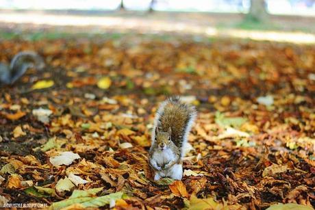 London: Southall Park lovelystyle (8)