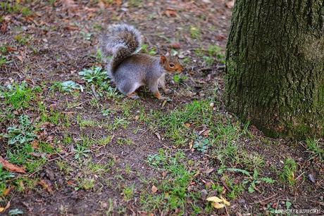 London: Southall Park lovelystyle (17)