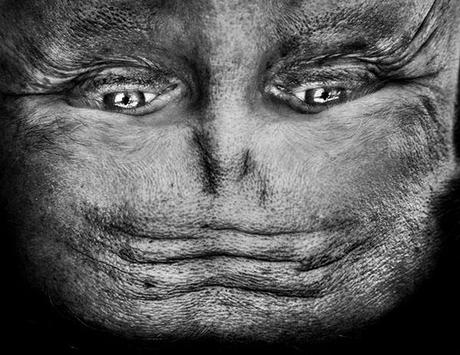 Alienación por Anelia Loubser
