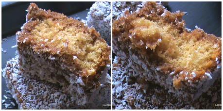 LAMINGTONS. DISEÑOS POR EL MUNDO. ¡ AUSTRALIA!