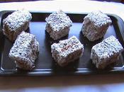 Lamingtons. diseños mundo. australia!